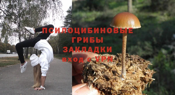 стаф Бородино
