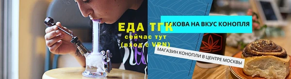амф Верхний Тагил