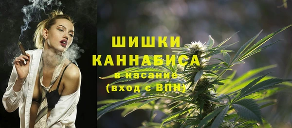 стаф Бородино