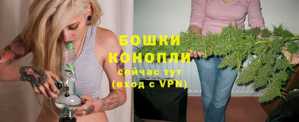 стаф Бородино