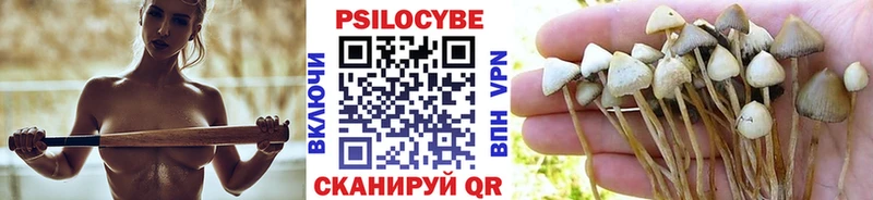 Псилоцибиновые грибы Magic Shrooms  omg рабочий сайт  Западная Двина 